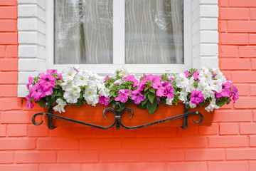 Outdoors windowsill decorated with pink and white flowers