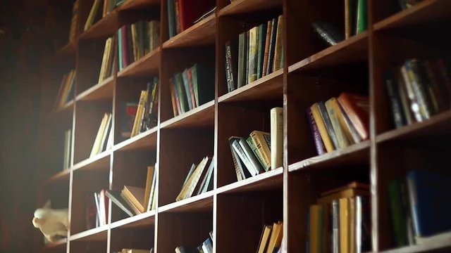 Bookshelves in university library with lots of books