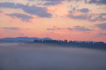 At sunrise in the Ukrainian Carpathians, Ivano-Frankivsk region