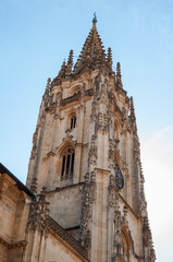 Fototapeta na wymiar Oviedo Cathedral Tower
