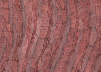 Wood texture. Lining boards wall. Wooden background pattern. Showing growth rings. Red Colour