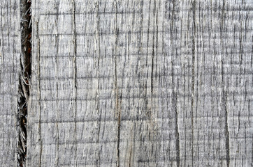 Fototapeta premium Wood texture. Lining boards wall. Wooden background pattern. Showing growth rings