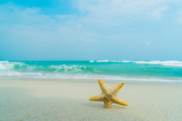 Fototapeta na wymiar Starfish on perfect beach