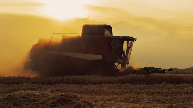 combine at sunset