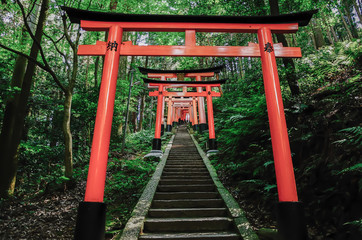 Fototapeta na wymiar Fushimi Inari Shrine, Kyoto Japan 伏見稲荷大社 