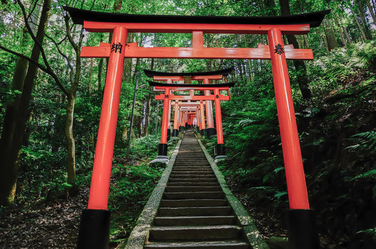 Fushimi Inari Shrine, Kyoto Japan
伏見稲荷大社 