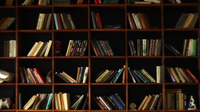 Bookshelves in university library with lots of books