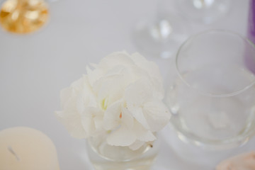Little white orchid put in a glass with water stands on the tabl