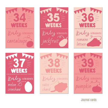 pregnancy 34-39 weeks Vector design templates for journal cards, scrapbooking cards, greeting cards, gift cards, patterns, blogging. Planner cards. Cute doodle. Printable templates set.