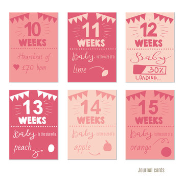 pregnancy 10-15 weeks Vector design templates for journal cards, scrapbooking cards, greeting cards, gift cards, patterns, blogging. Planner cards. Cute doodle. Printable templates set.