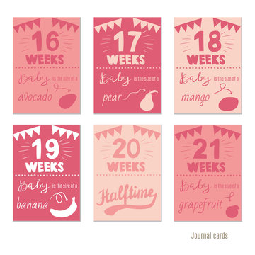 pregnancy 16-21 weeks Vector design templates for journal cards, scrapbooking cards, greeting cards, gift cards, patterns, blogging. Planner cards. Cute doodle. Printable templates set.