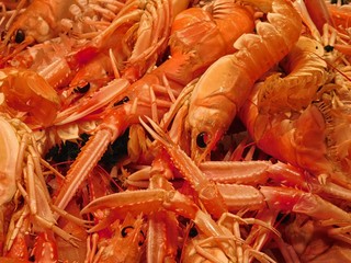 texture of scampi