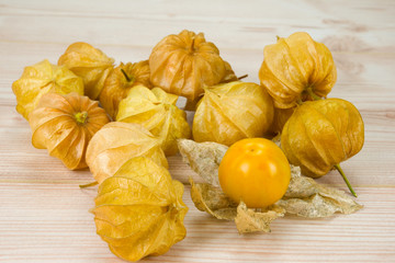 Physalis - Andenbeere - Kapstachelbeere 