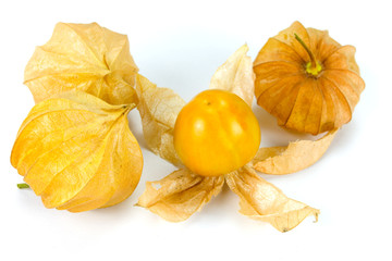 Physalis - Andenbeere - Kapstachelbeere 
