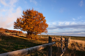 Fototapeta premium Sunset in the park of Monti San Vicino and Canfaito, Italy