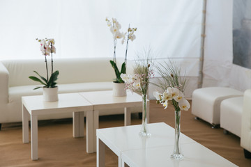 Flowerpots with white orchids stand on small tables behind white