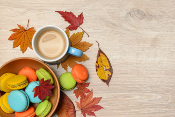 Naklejka na ściany i meble Autumn muffins with cocoa