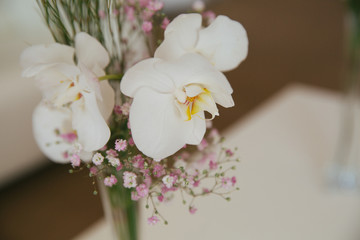 White orchids stand in a vase with tiny violet flowers