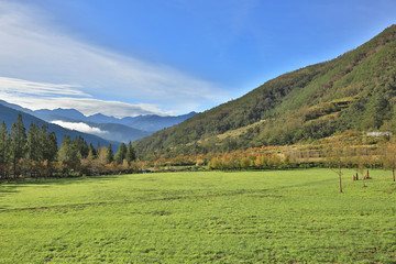 Fototapeta premium Beautiful mountain landscape with green field and wooden bridge in a sunny day