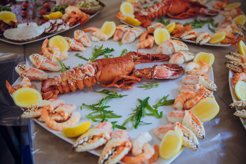 Huge red crab lies on a plate surounded with shellfish and lemon