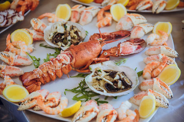 A plate with sea products decorated with oranges