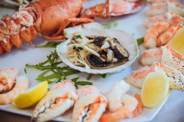 Shellfish looks tasty lying on the white plate among other sea p