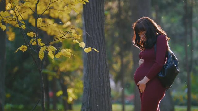Portrait of young pregnant woman standing at autumn park among golden leaves, stroke her belly