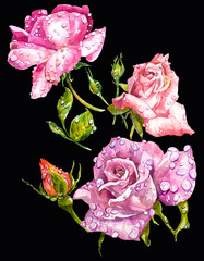 Watercolor bouquet of flowers roses
