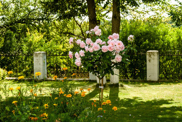 Fototapete bei efototapeten.de bestellen   