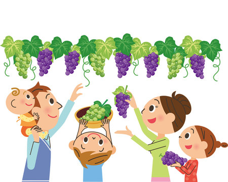 ぶどう狩り の画像 3 761 件の Stock 写真 ベクターおよびビデオ Adobe Stock