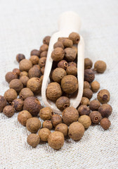 Grains of allspice on a canvas