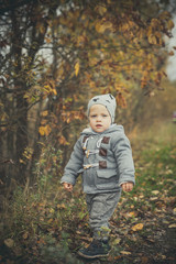 Little boy in autumn park