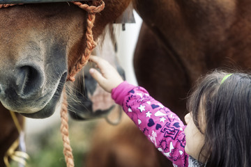 bimba che accarezza un cavallo