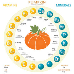 Infographics about nutrients in pumpkin