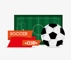 Ball and league icon. Soccer sport competition game and hobby theme. Colorful design. Vector illustration