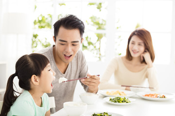 Obraz na płótnie Canvas happy young Family enjoy their dinner