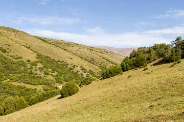 landscape in the mountains