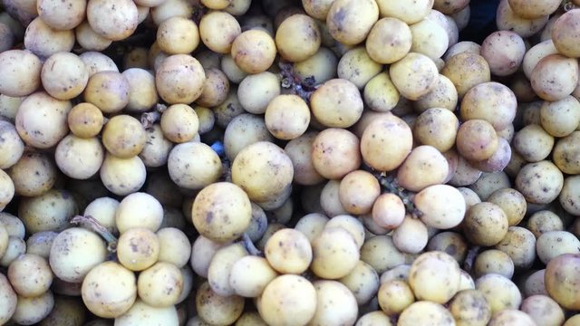 Lansium parasiticum fruit (Thai food name Longkong,  Langsat ), right pan 