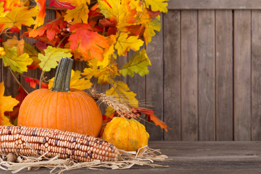 Autumn Harvest Decoration With Colorful Leaves in Background