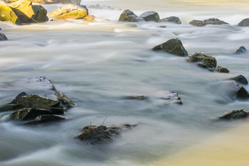 Small river in the autumn season