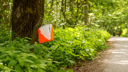 Orienteering check Point