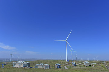 Fototapeta premium The windmill