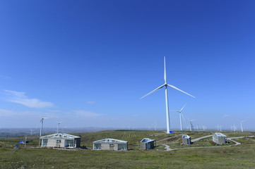 Fototapeta premium The windmill