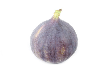fig isolated