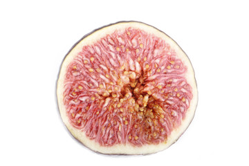 fig isolated