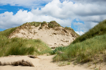 Dünenlandschaft 