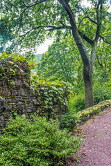 Park Wall Jim Thorpe