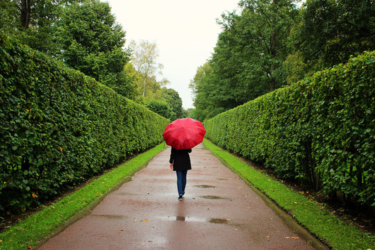young girl walks along the green alleys from the bushes in the rain with  red umbrella