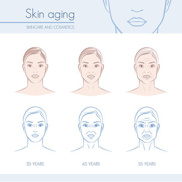Skin aging