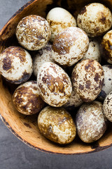 Quail eggs in the nest, a symbol of spring.